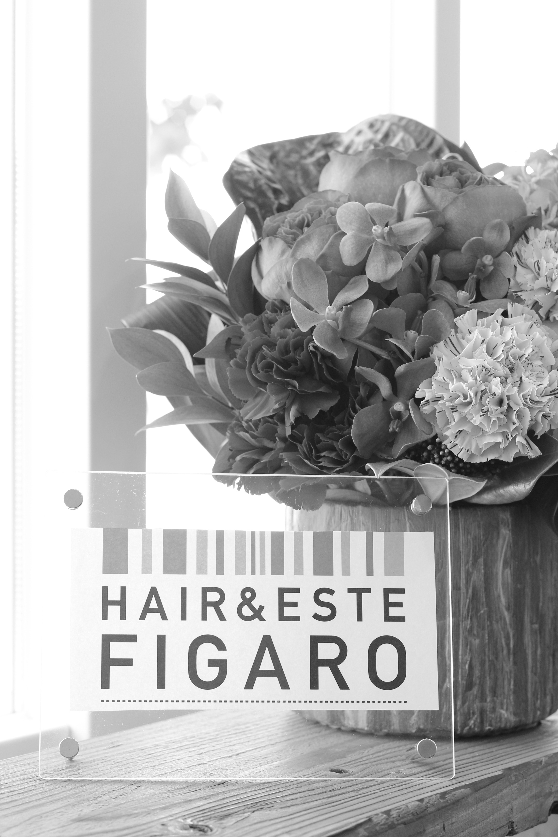 http://figaro-hair.com/blog/IMG_0550.jpg