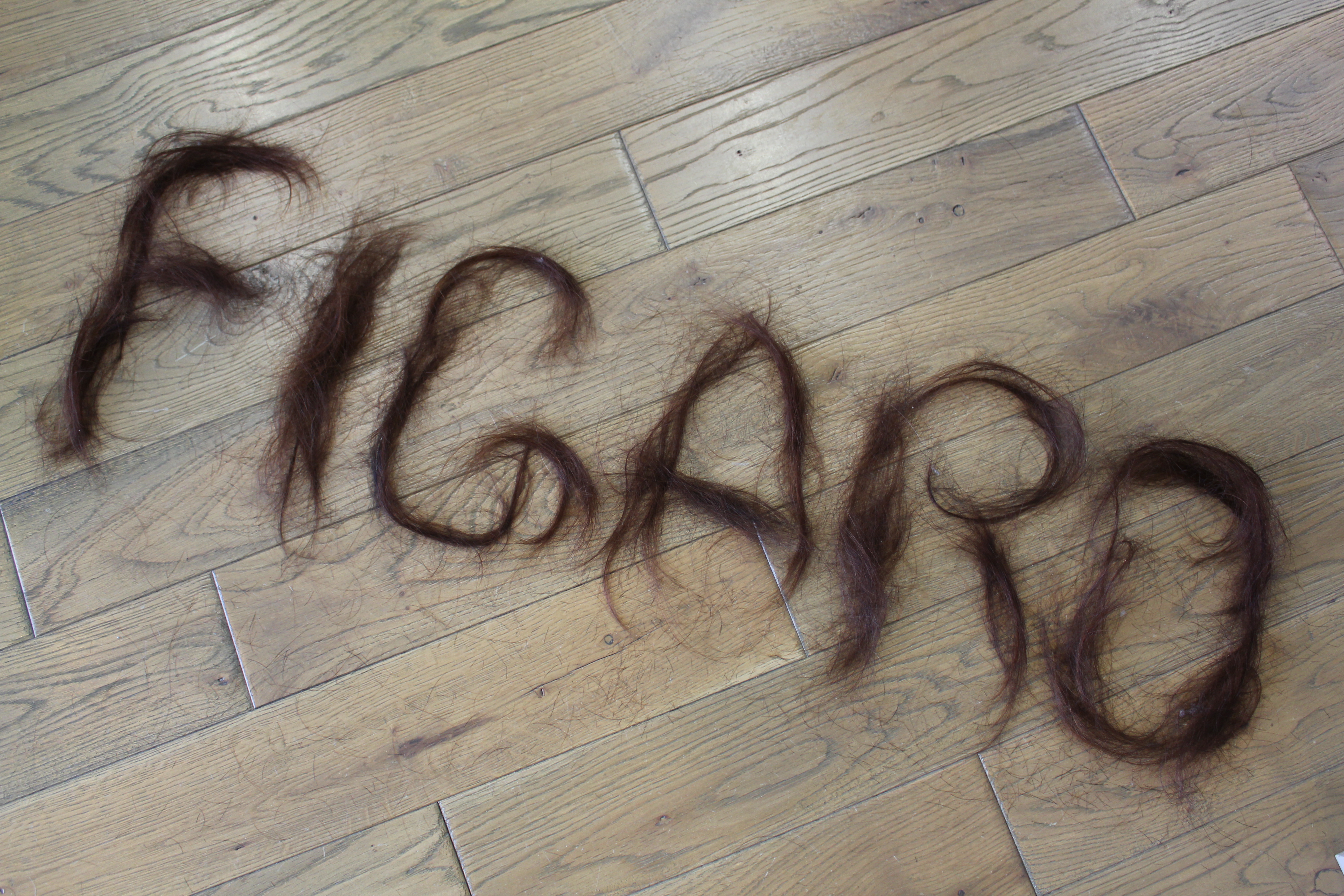 http://figaro-hair.com/blog/IMG_7136.JPG